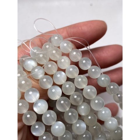 tw-11134207-7rbka-ma9qj78olyl2b1