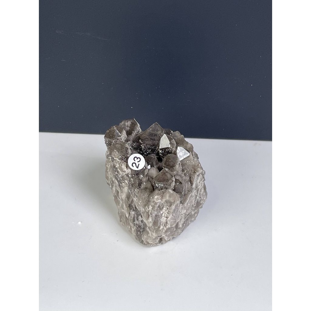 36017f6df0ce74b5b4d123ad781d7dfc