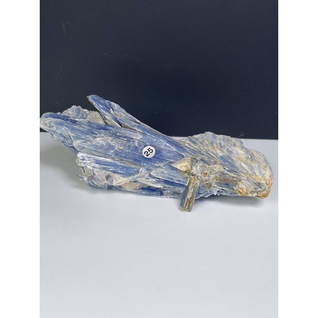 b3c7ce97c280a5c385a7656994add038