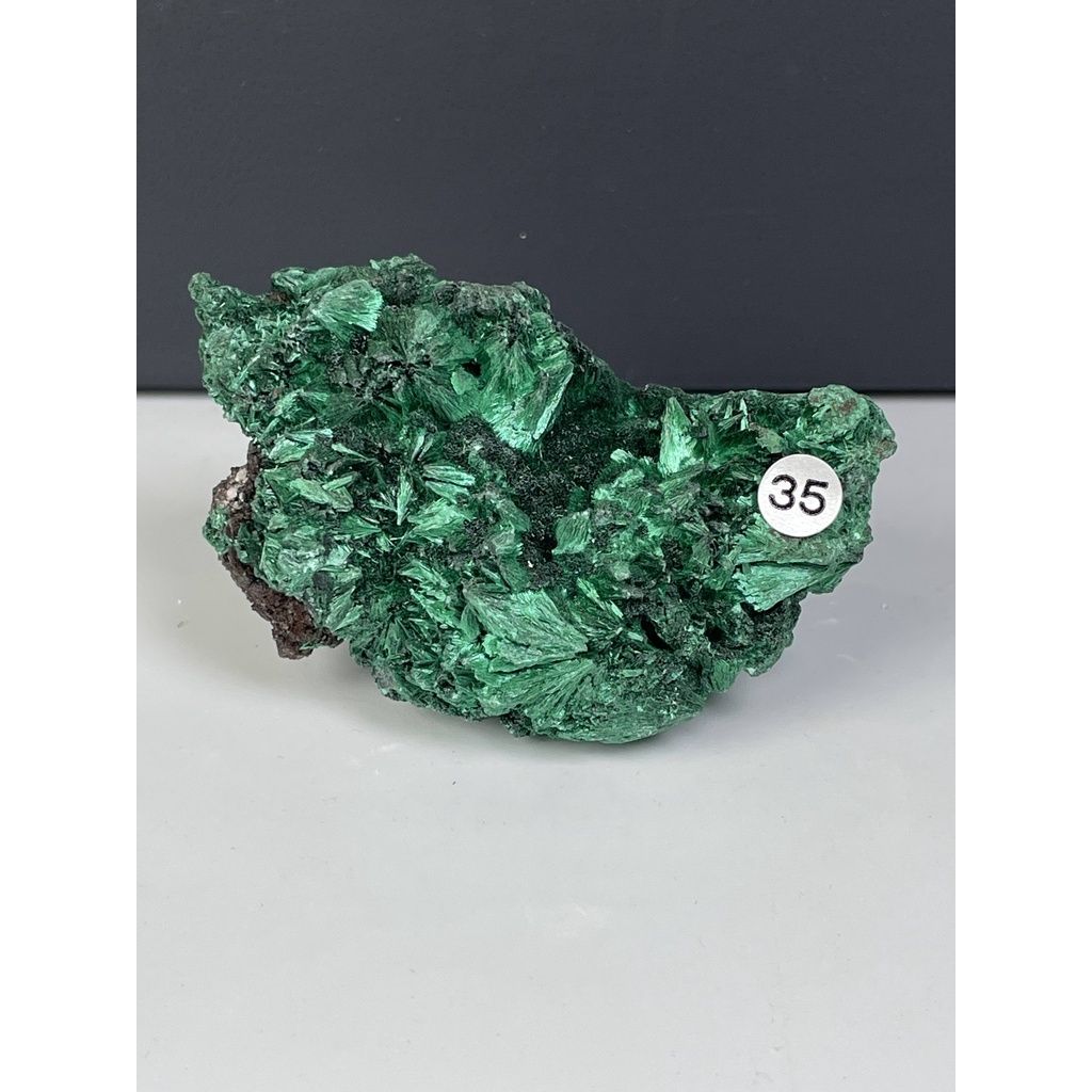 9fa980f86ae8dd25f4cfd2bf5459fa3e