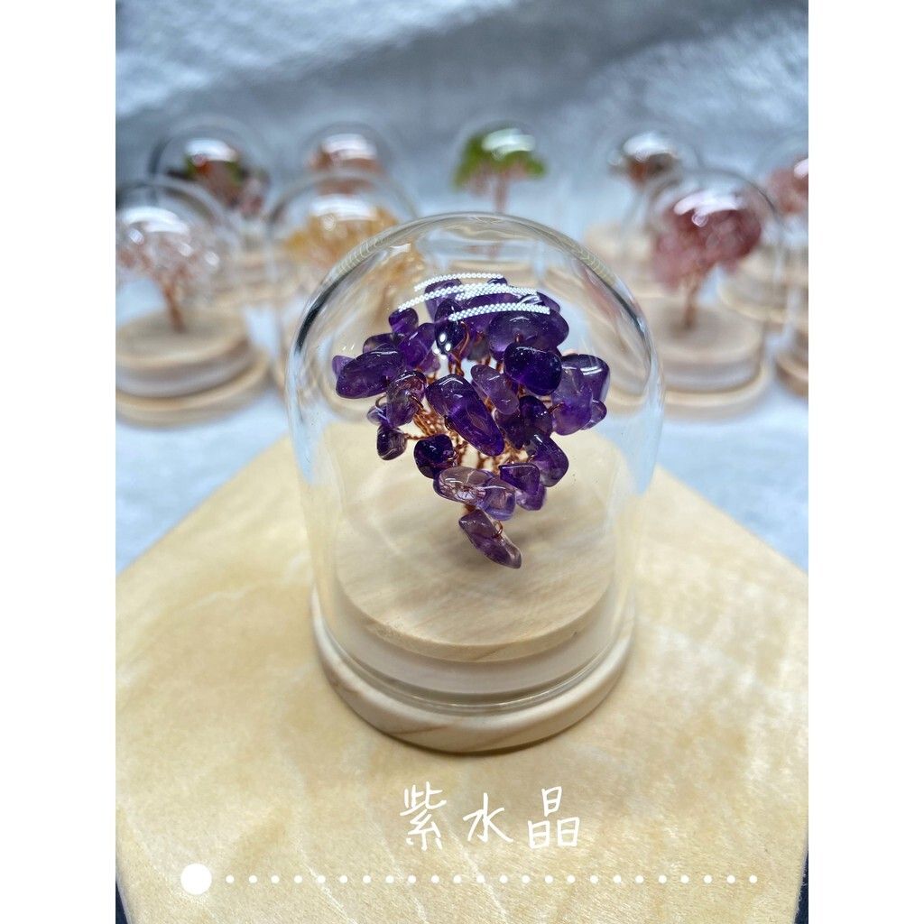 36ee63452e8ae5fa1e21e576ea725570