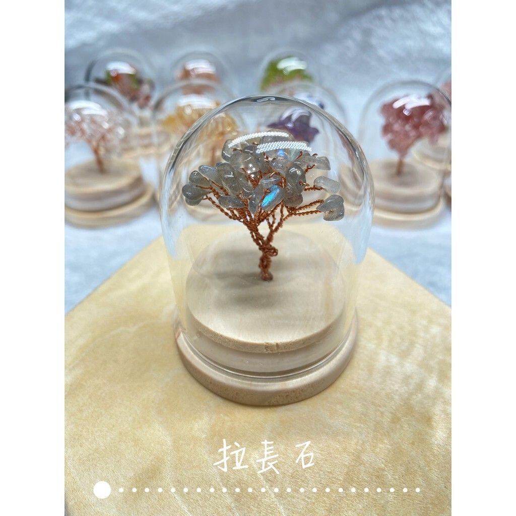 fd5ac1305f5de75cf5c51b7f84667ce7