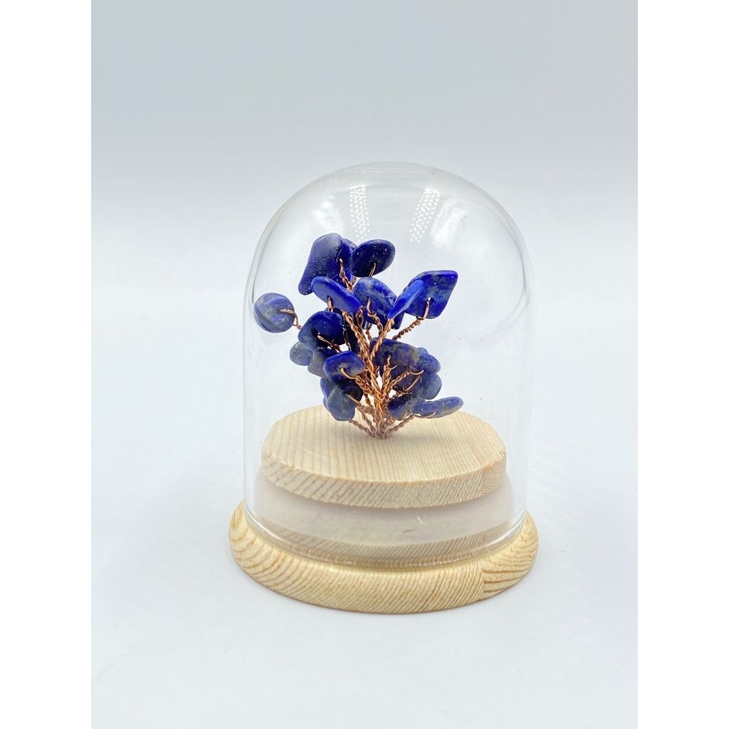 sg-11134201-22100-0q95yjcu36iv42