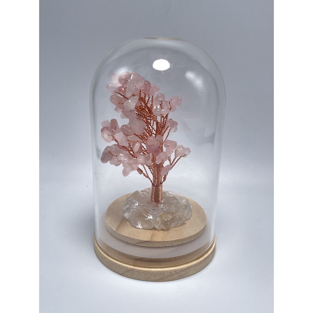 8f803d8d288d57900cf8e3bbcf95a690