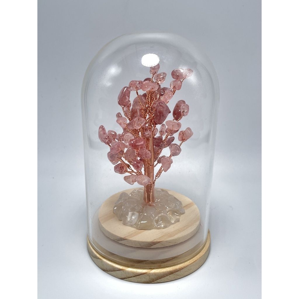 b3e6efdd770a228cceaa66ad5b63cb84