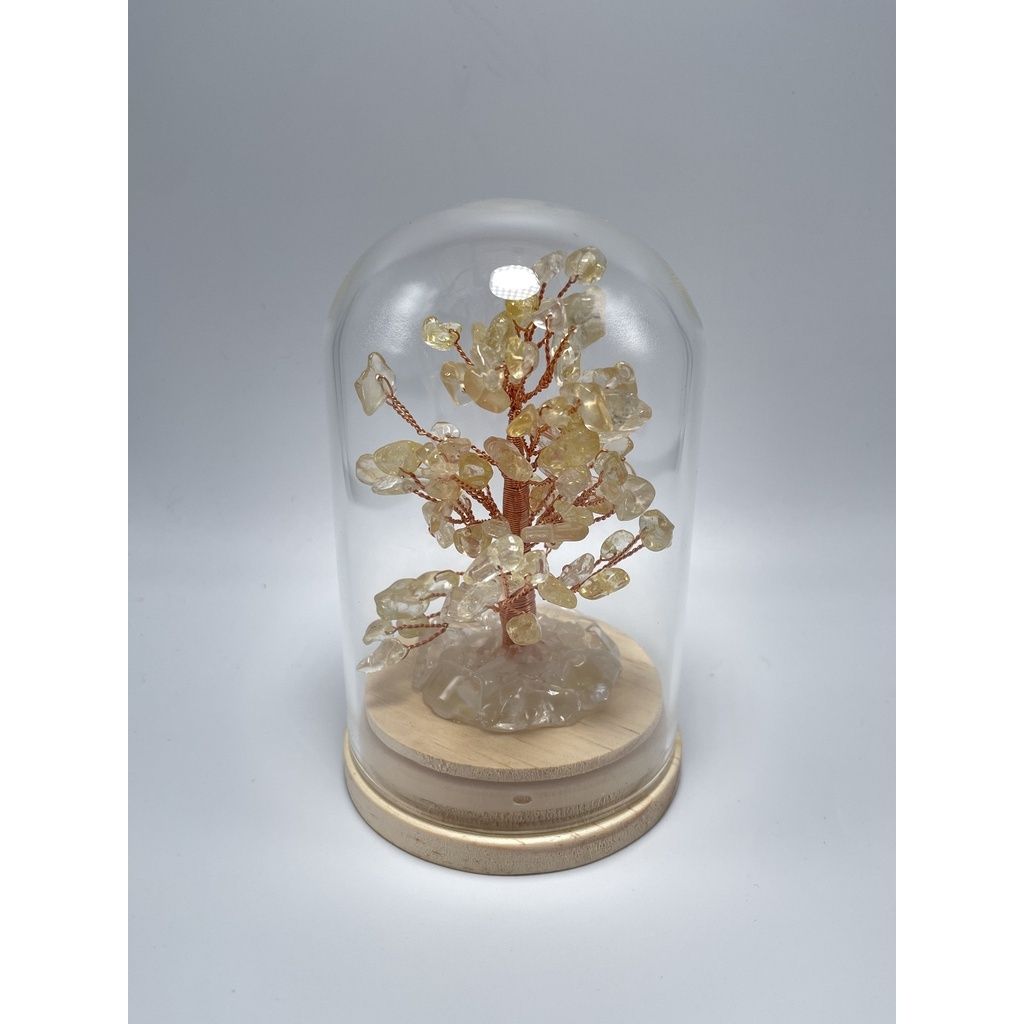 2b3ebebc5ae2f6a82fc1f953396ba0a1