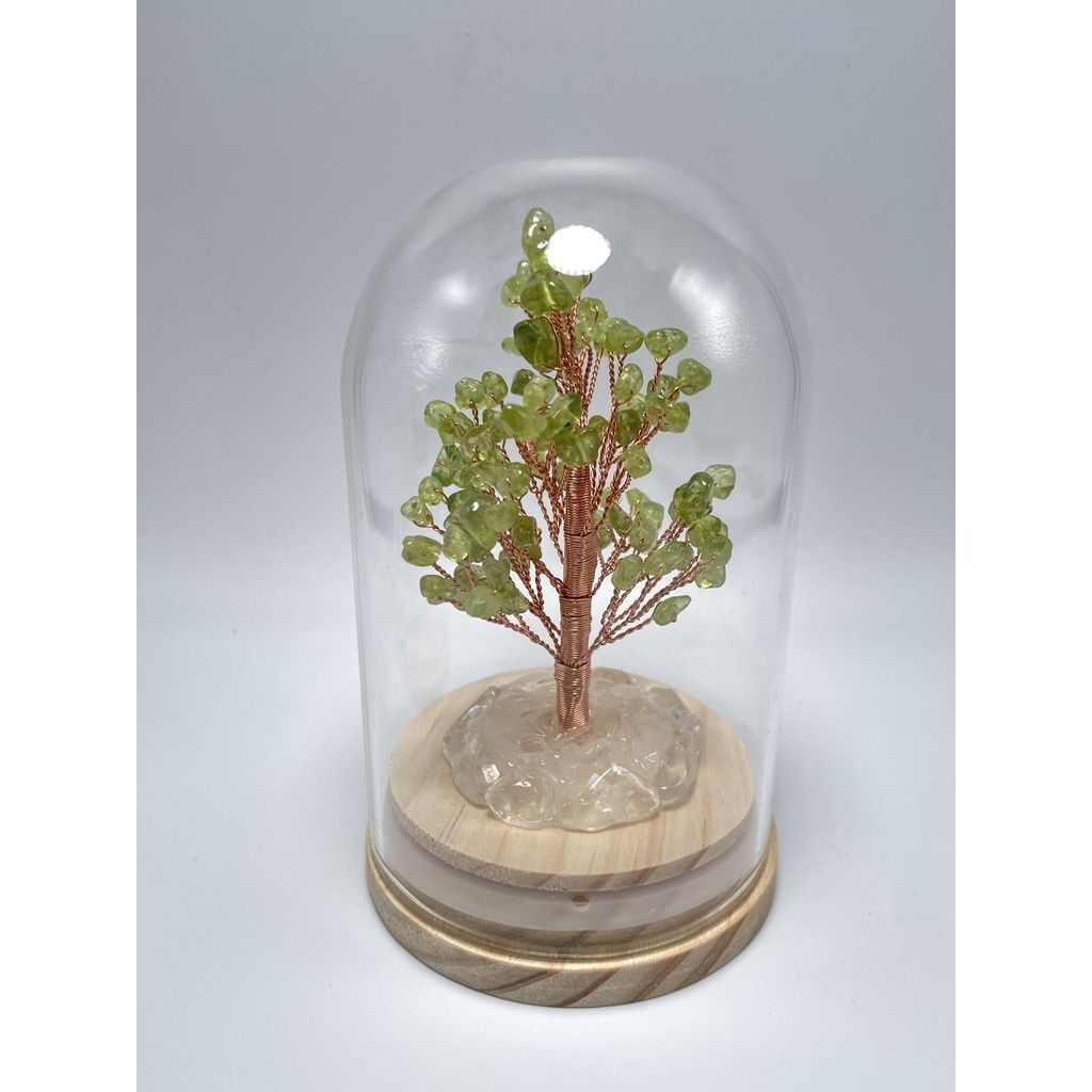 ddd6b4ac71426e6bc89193a14e6bcae6