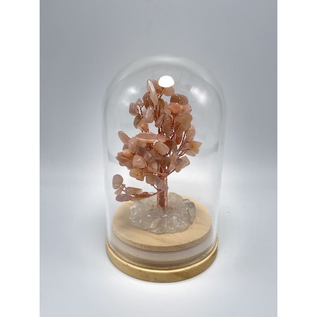 d8dbcdd6e98c9a9c54eaaab69b06e8fa