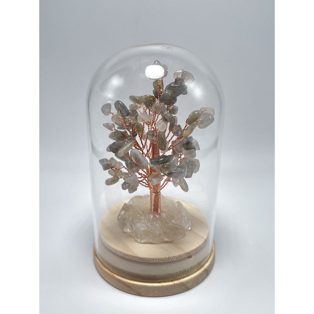 c9ae6744f1c4189b77306390970d3d53