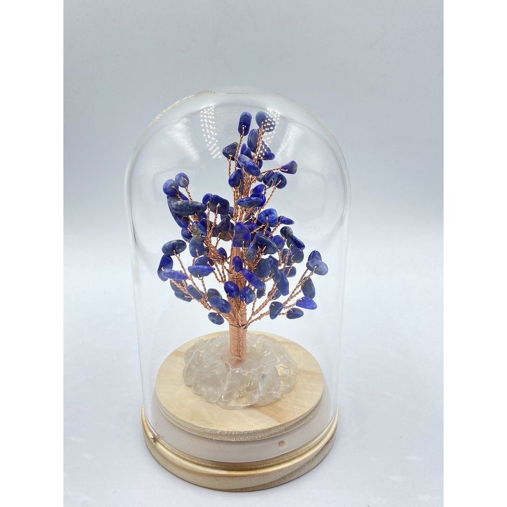 sg-11134201-22100-kkfbrrku36iv8b