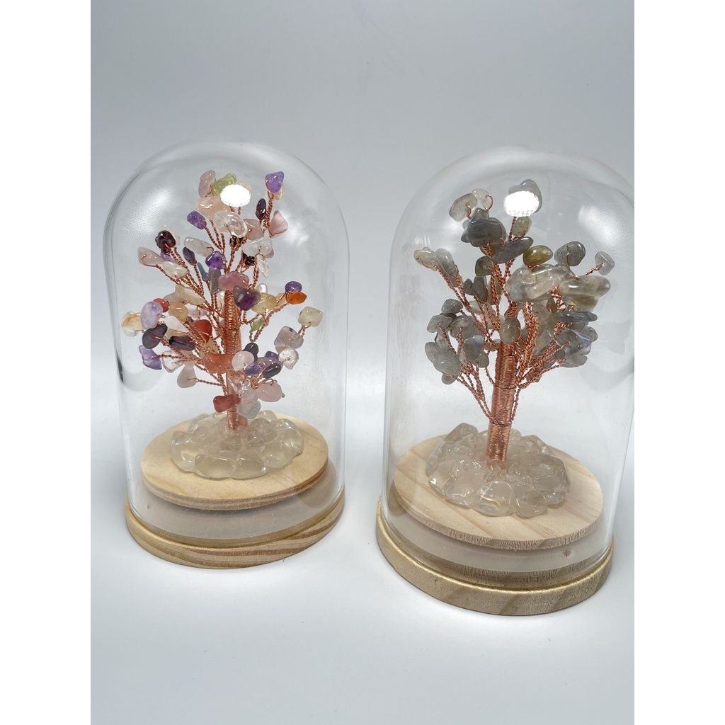 d67a93b16b69b606205f7df3c34942f4