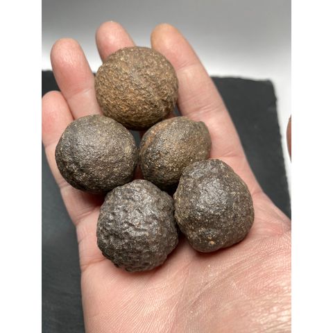 tw-11134207-7qul8-lfji65irnfu2a0