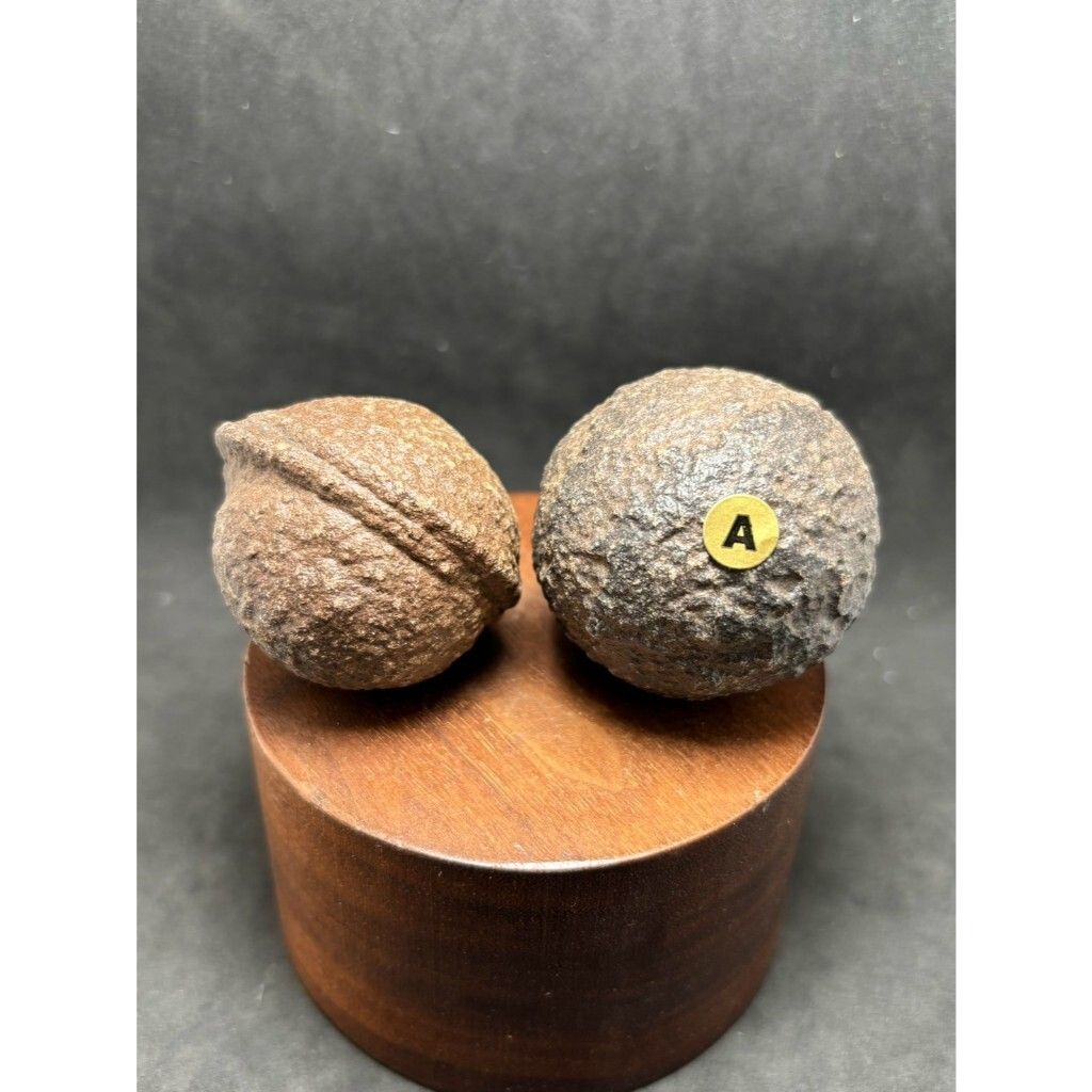 tw-11134207-7rbk9-m7aiqo55t0oq0e