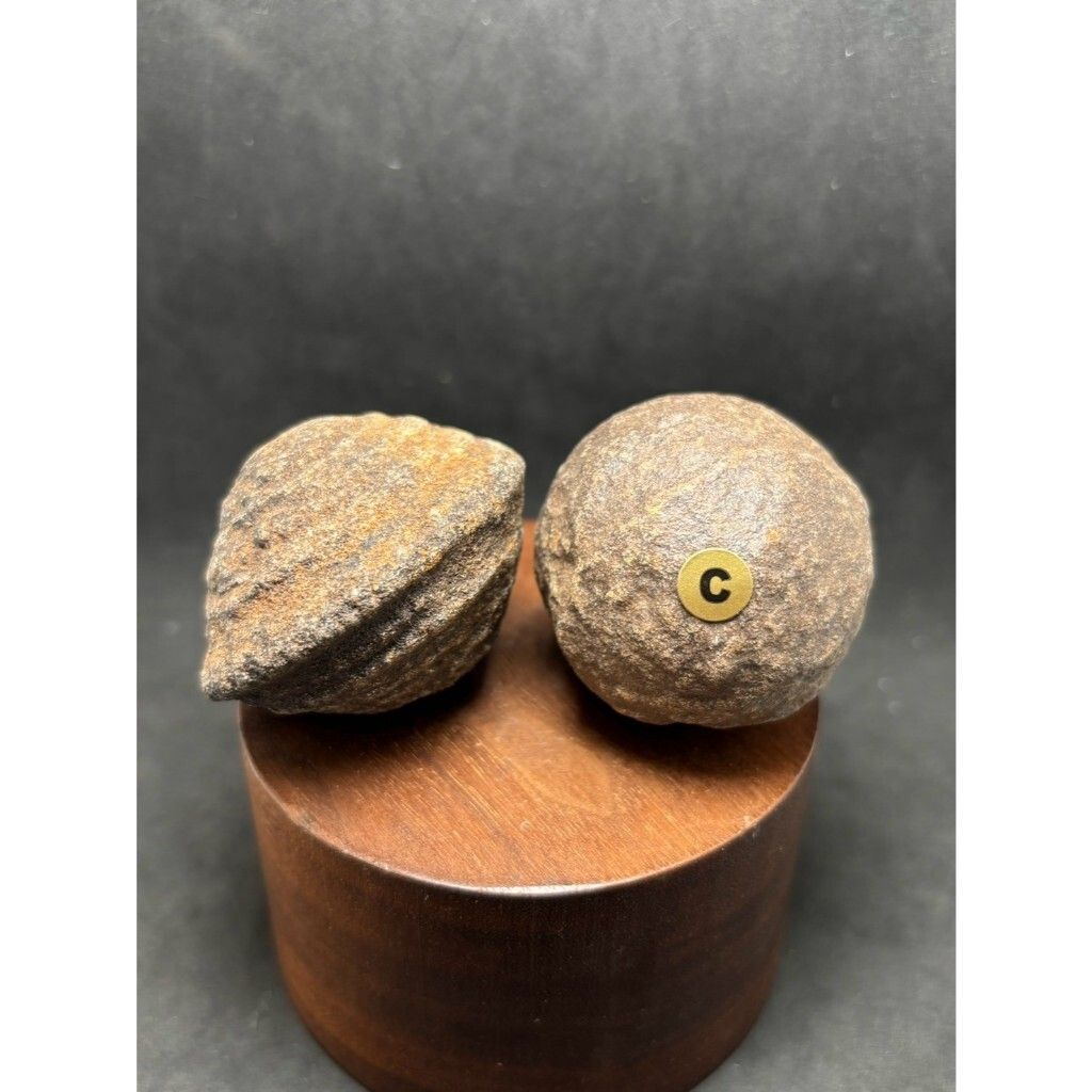 tw-11134207-7rbkd-m7aiqtr5lfayc9