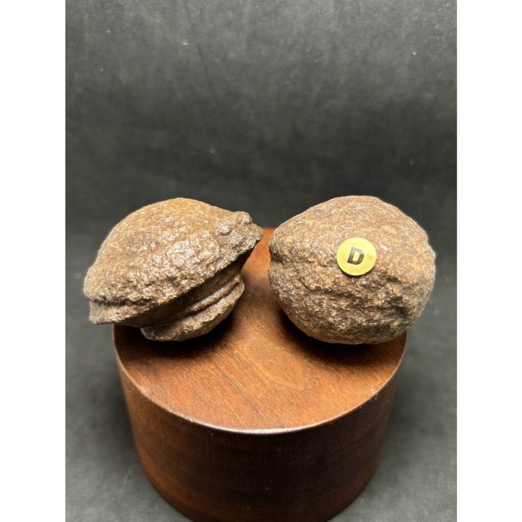 tw-11134207-7rbk5-m7aiqv2vnlgxa3