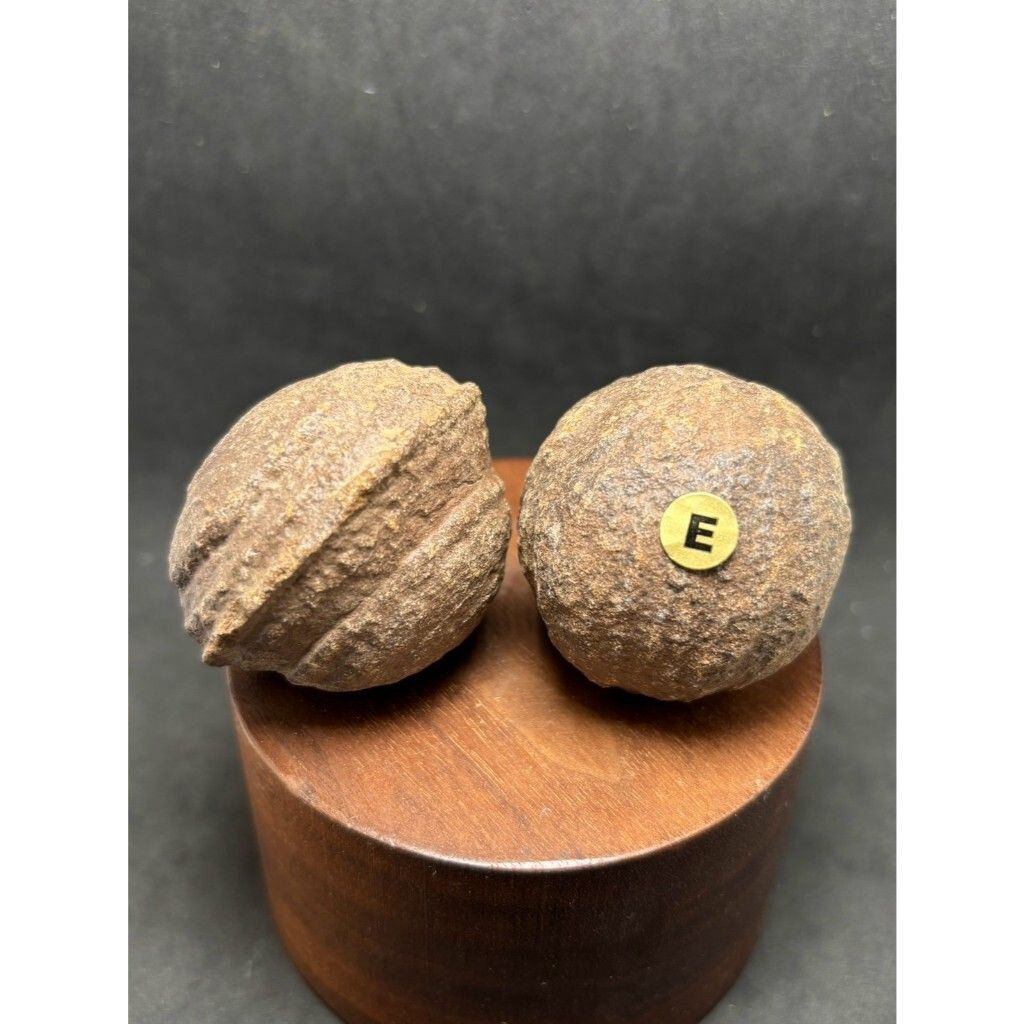 tw-11134207-7rbk8-m7aiqwnrccl6b3