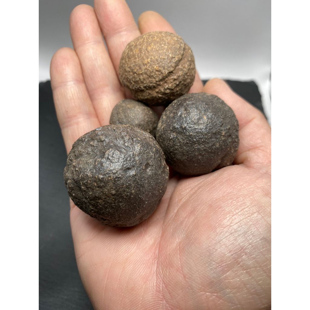 tw-11134207-7qul9-lfji65irm19m1f