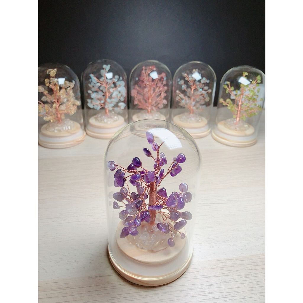 6421390c92d8dafaaf57675d695d2ca5