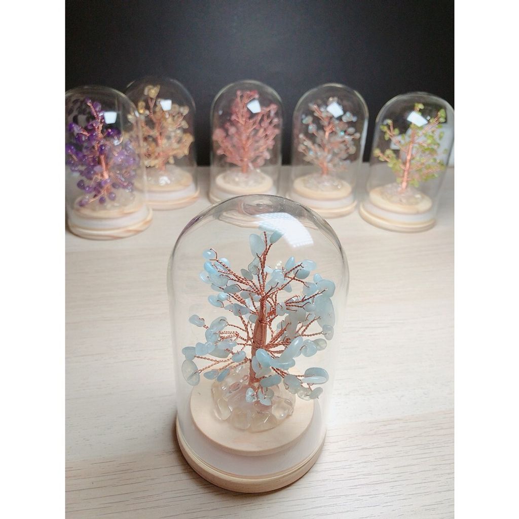 e2ca53a4dadc884542e0cb6caabba88c