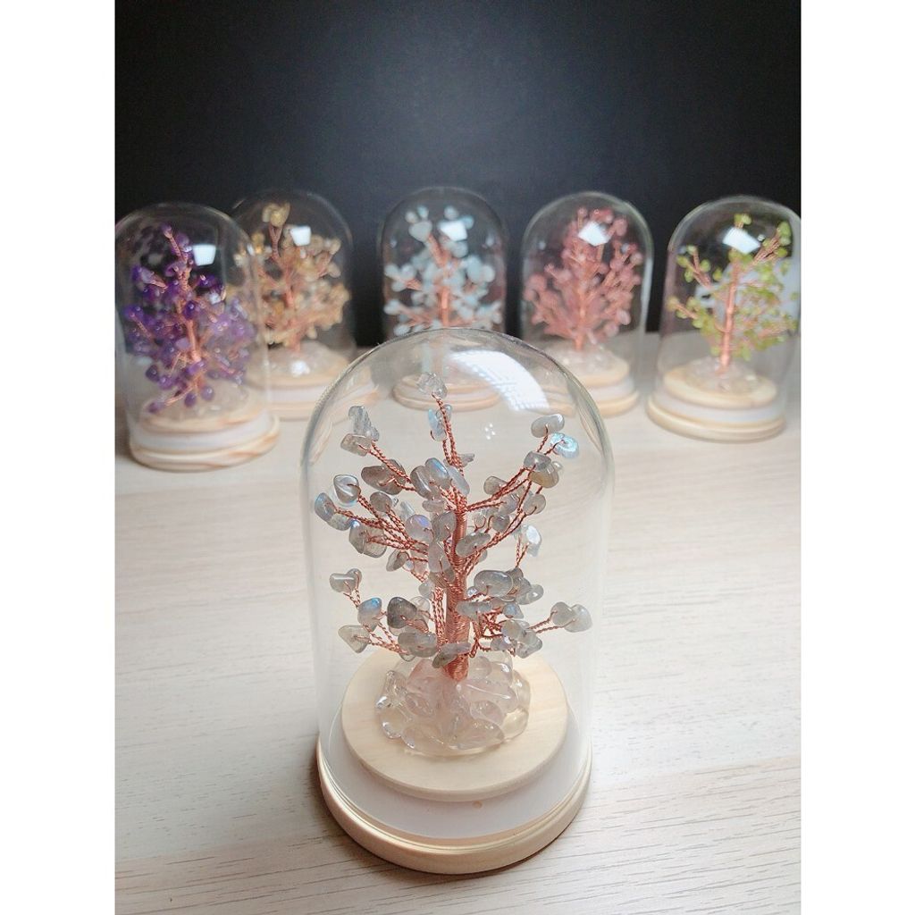 664b38802205f88d42e12b8f1cabfef4