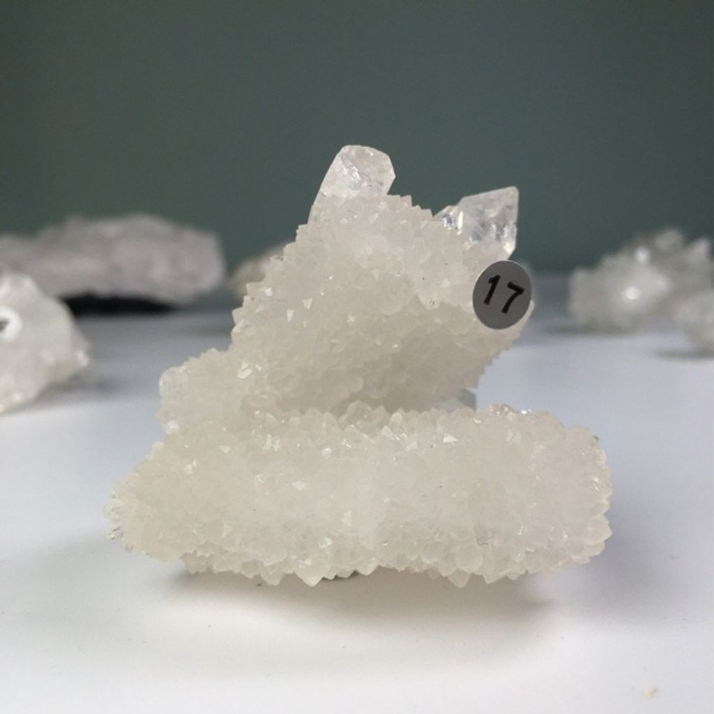 9782061424779456f221c48a1512a934