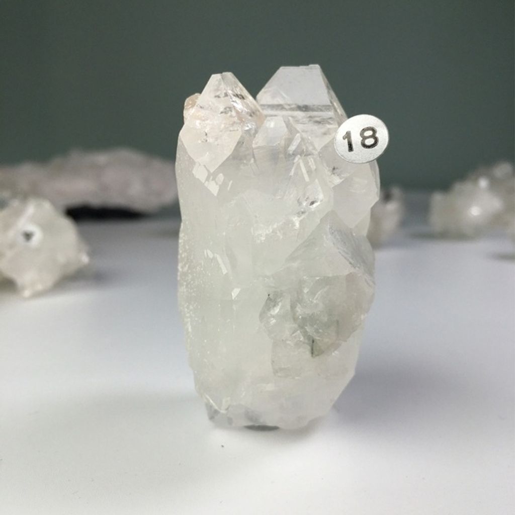 50e0506a9af46f1cb415ccd2259b39e6