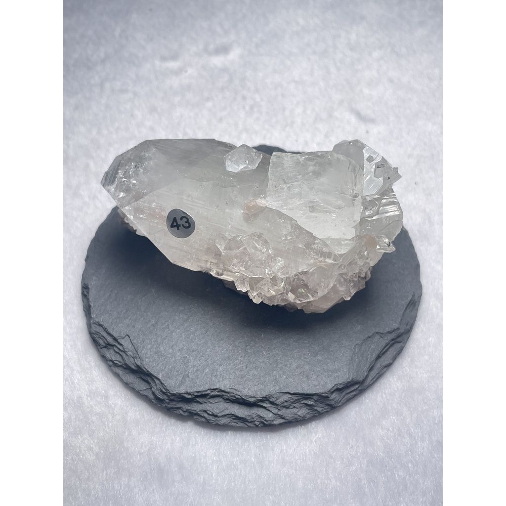 724790cfef010167b9d18124dc1d3872