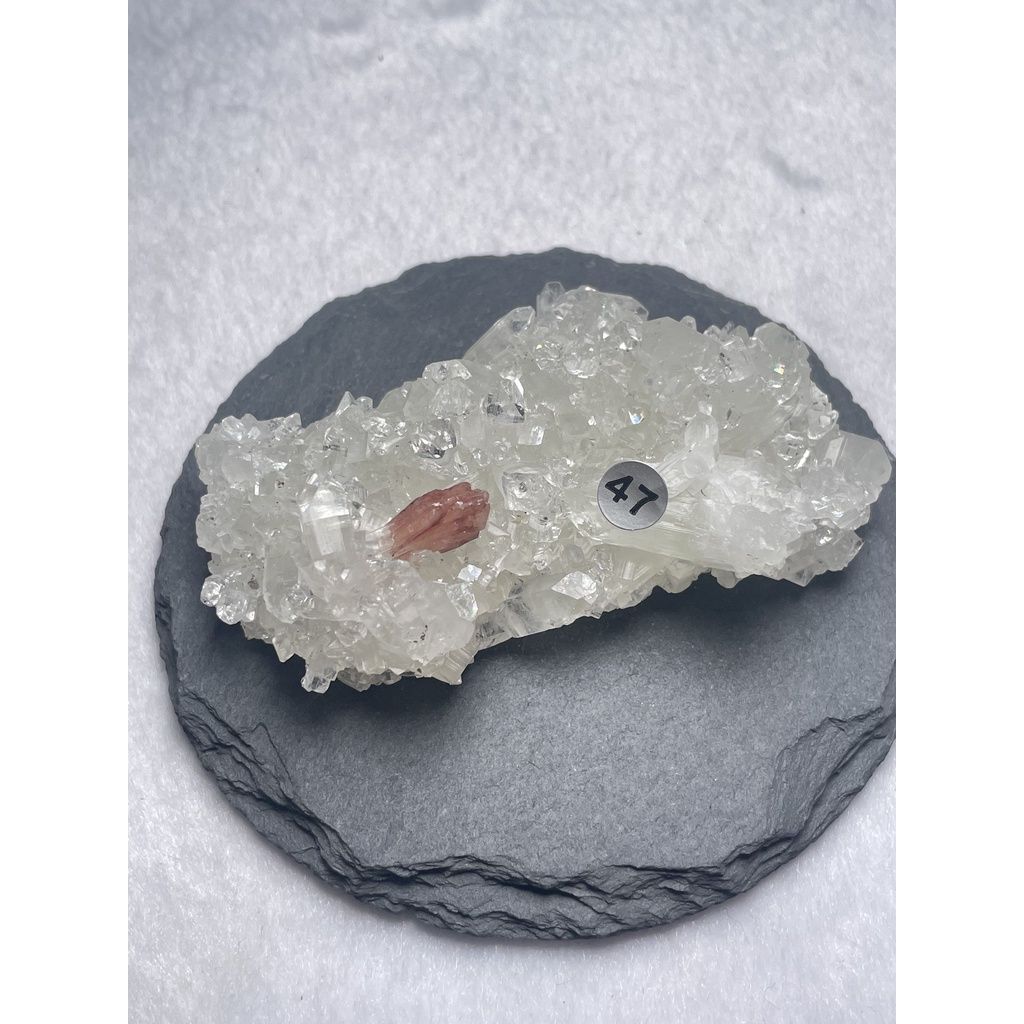 82f67ab31797ef8100a41c2444159cf1