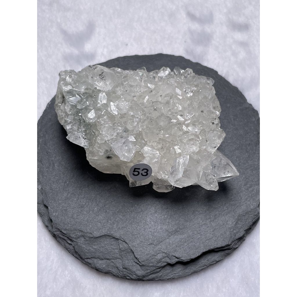 157b14a6549ad05e34ade91c7f9a6540