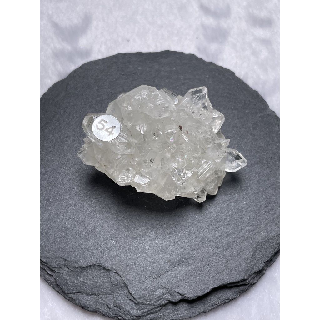 978bd48be3daa67b2f1a946e909a99c1