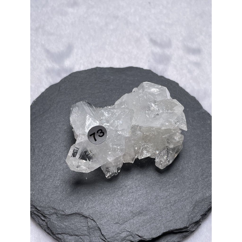 50bf392631feee12f01d7dd410cafb0f