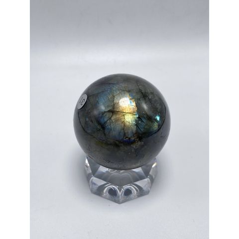 sg-11134201-22110-zx2ufczjtijv8e