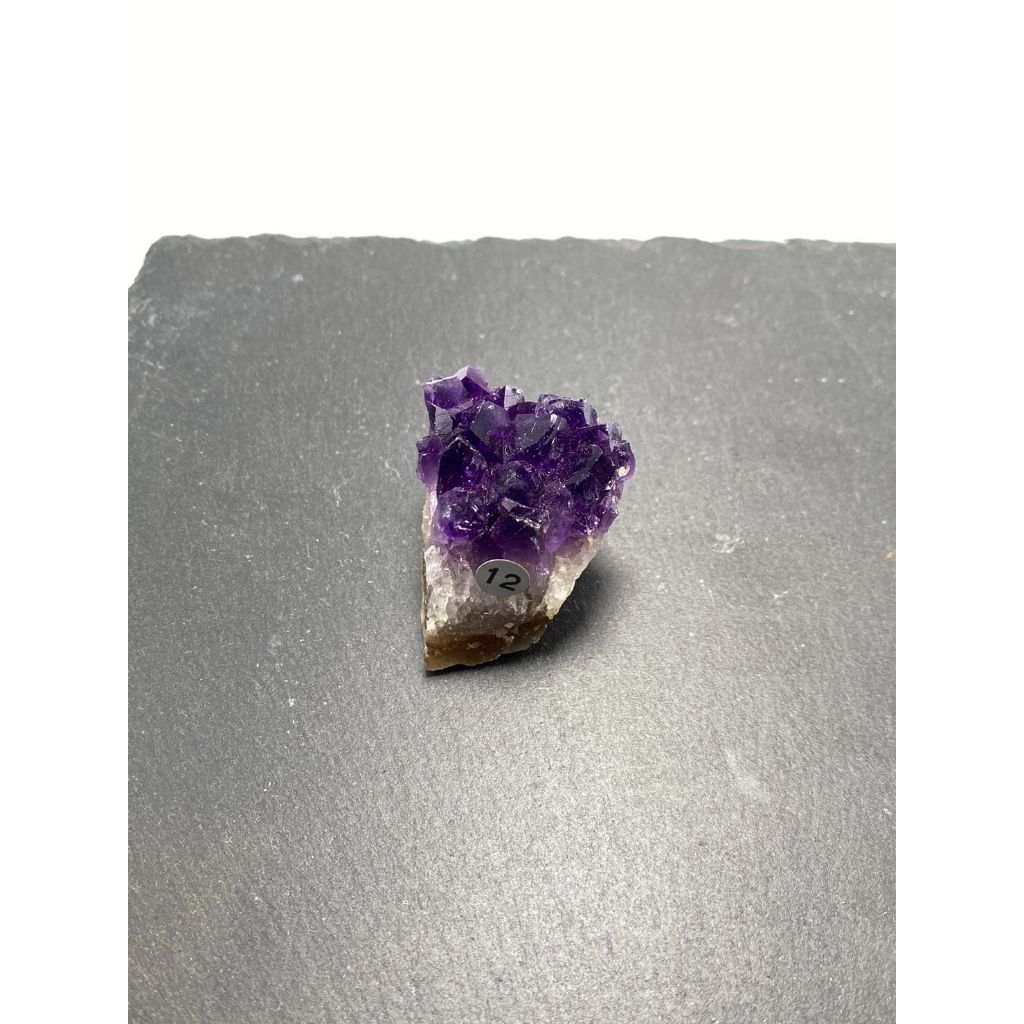 tw-11134207-23020-egnmcch4e4nv64