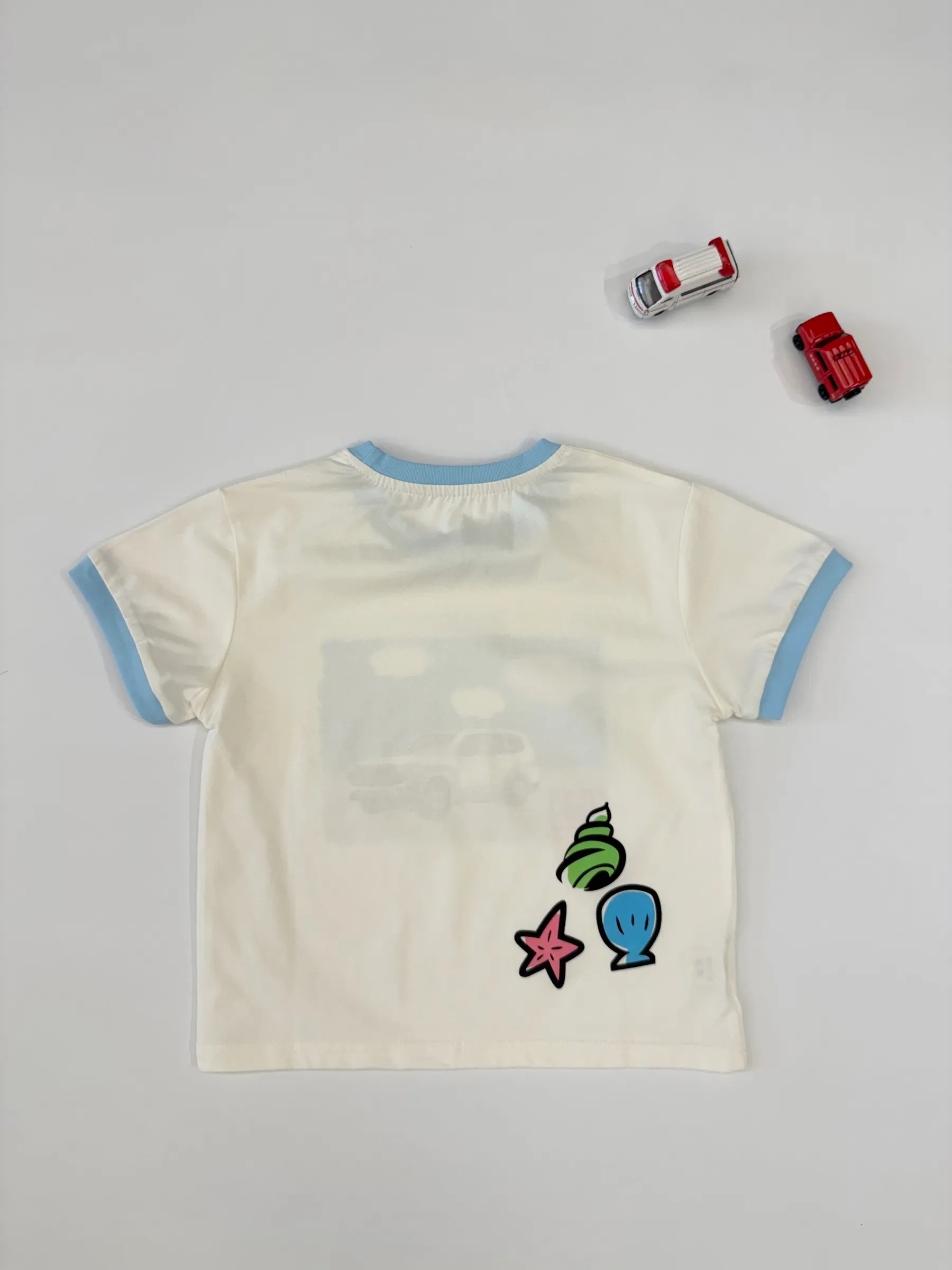 image_C1136AA9-CA9F-4FDC-9E30-039EEE685BB2_1776256193