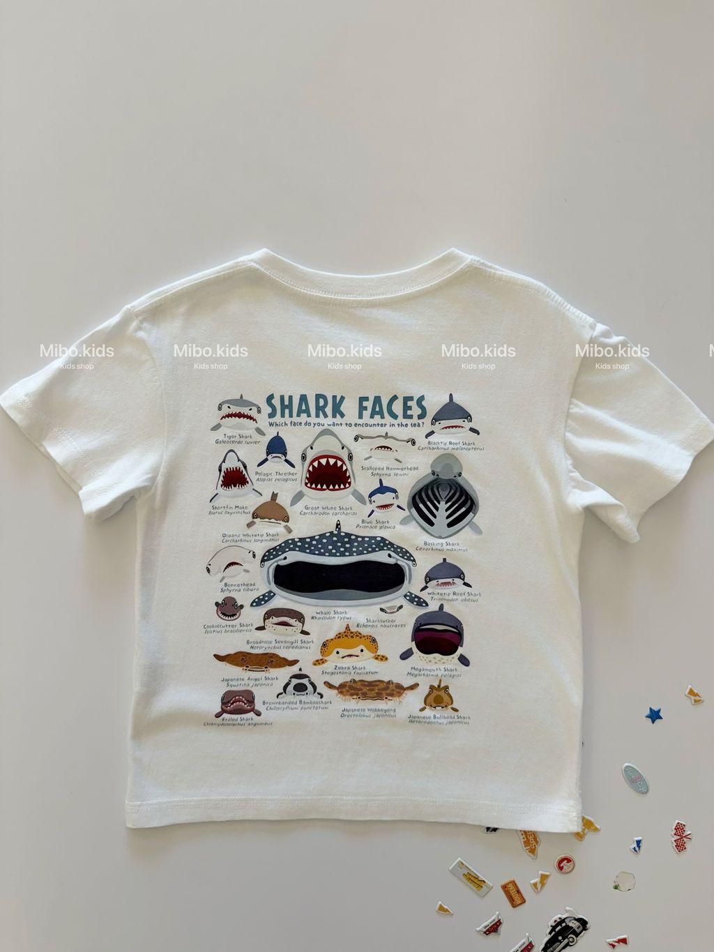 image_261D3444-34A8-4A66-A2B0-E91F1FE0E131_1778823195