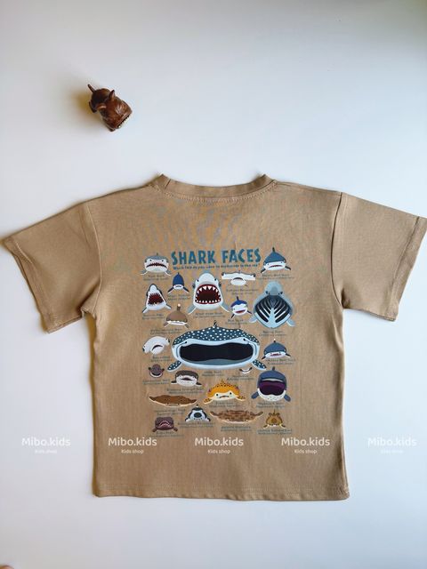 image_12C5EB73-432A-479F-8BA2-84C0FDCF664F_1778748696