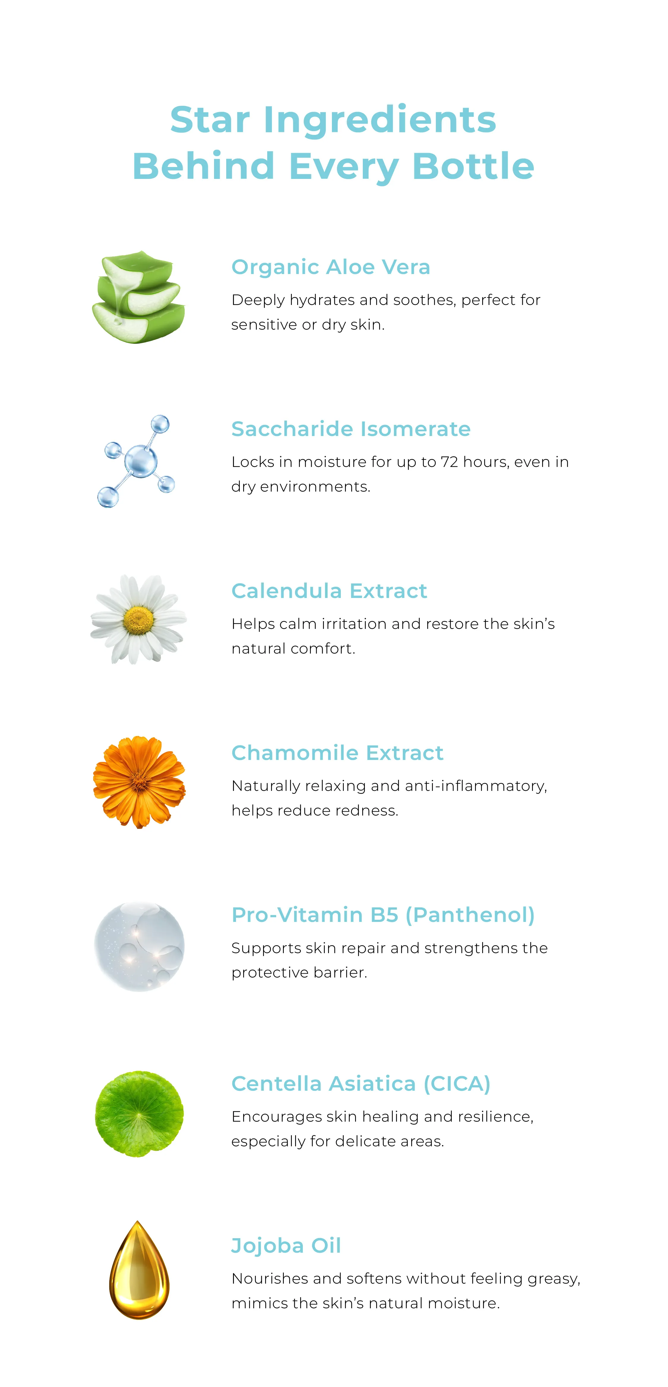 Website Description Lotion-03