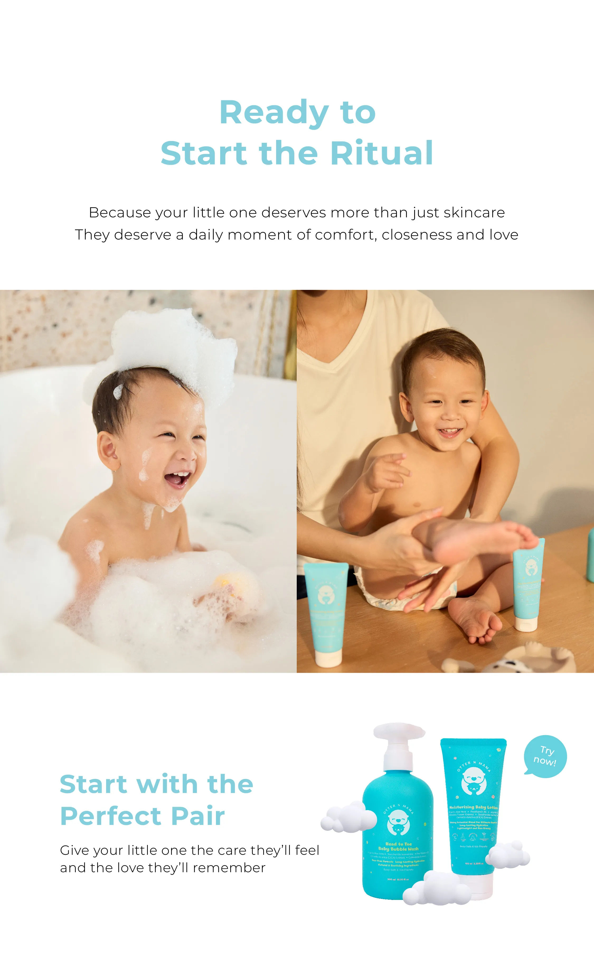 Website Description Perfect Pair-04