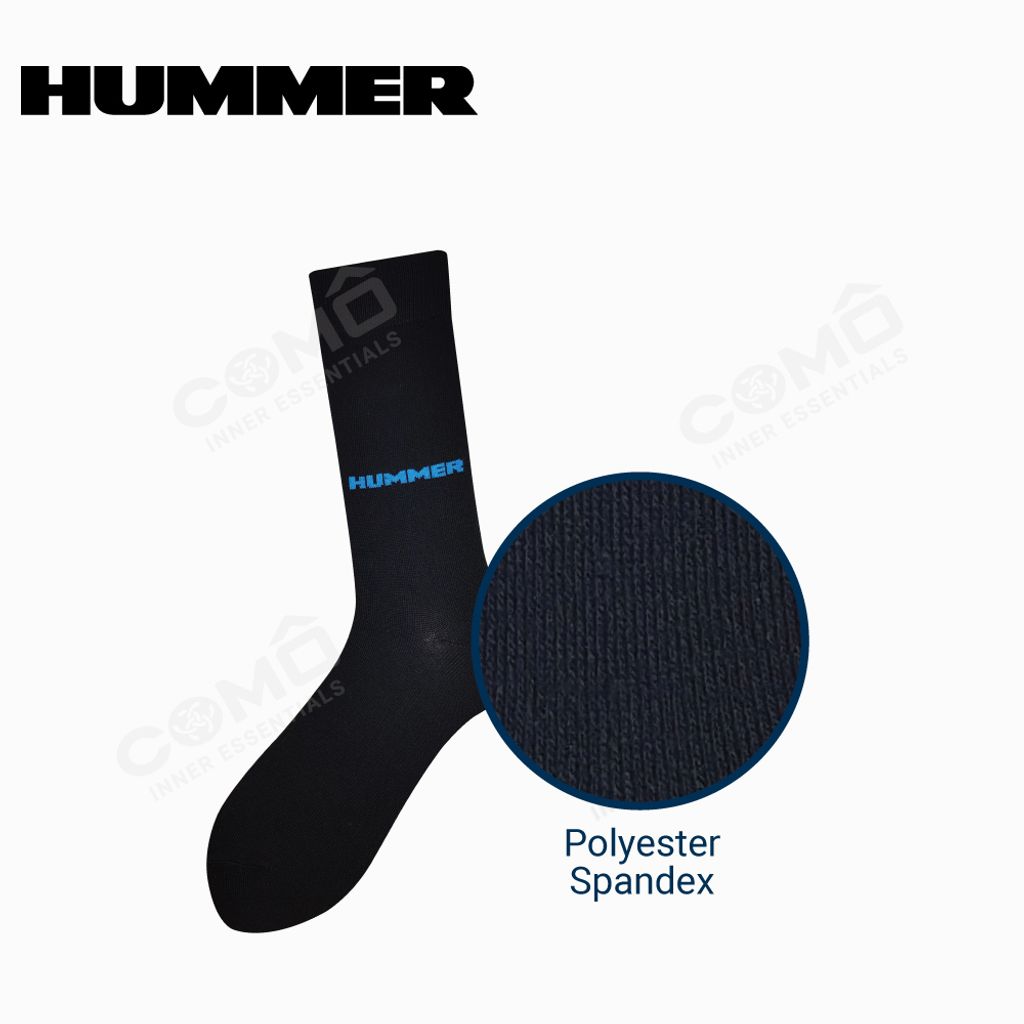 HMC08-ES2