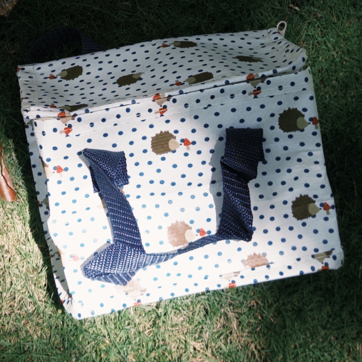 fxn 2025-06-15 113528.1782