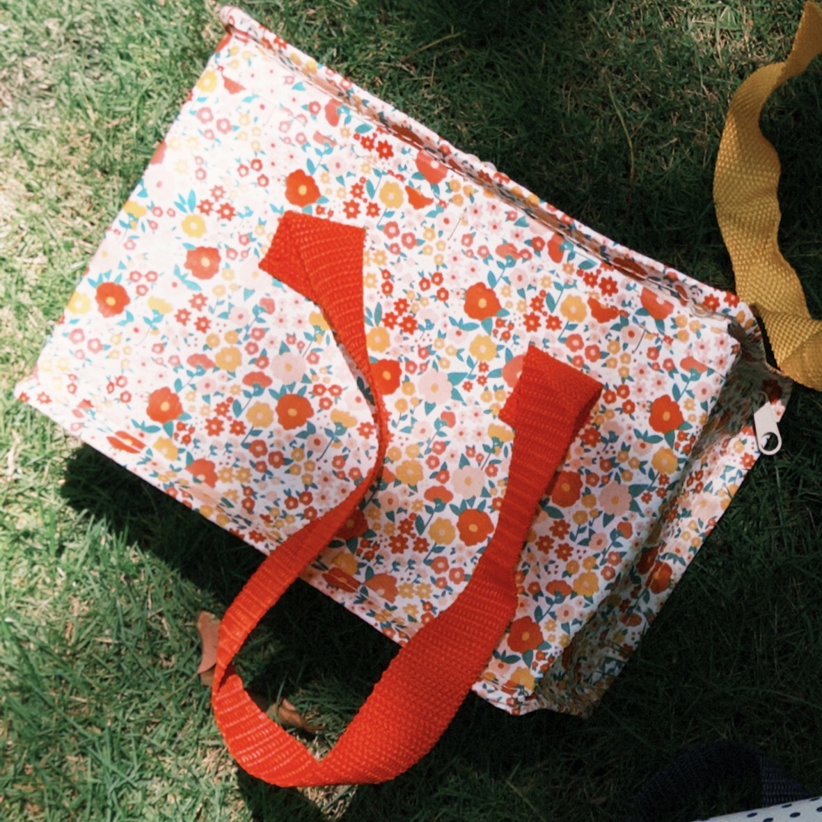 fxn 2025-06-15 113528.1781