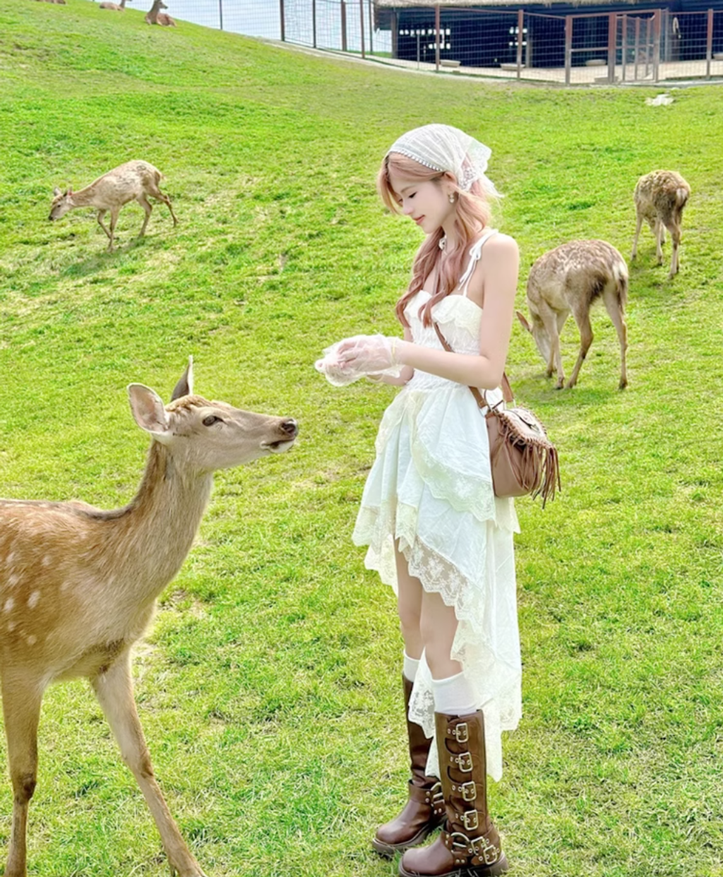 WX20250804-131846@2x