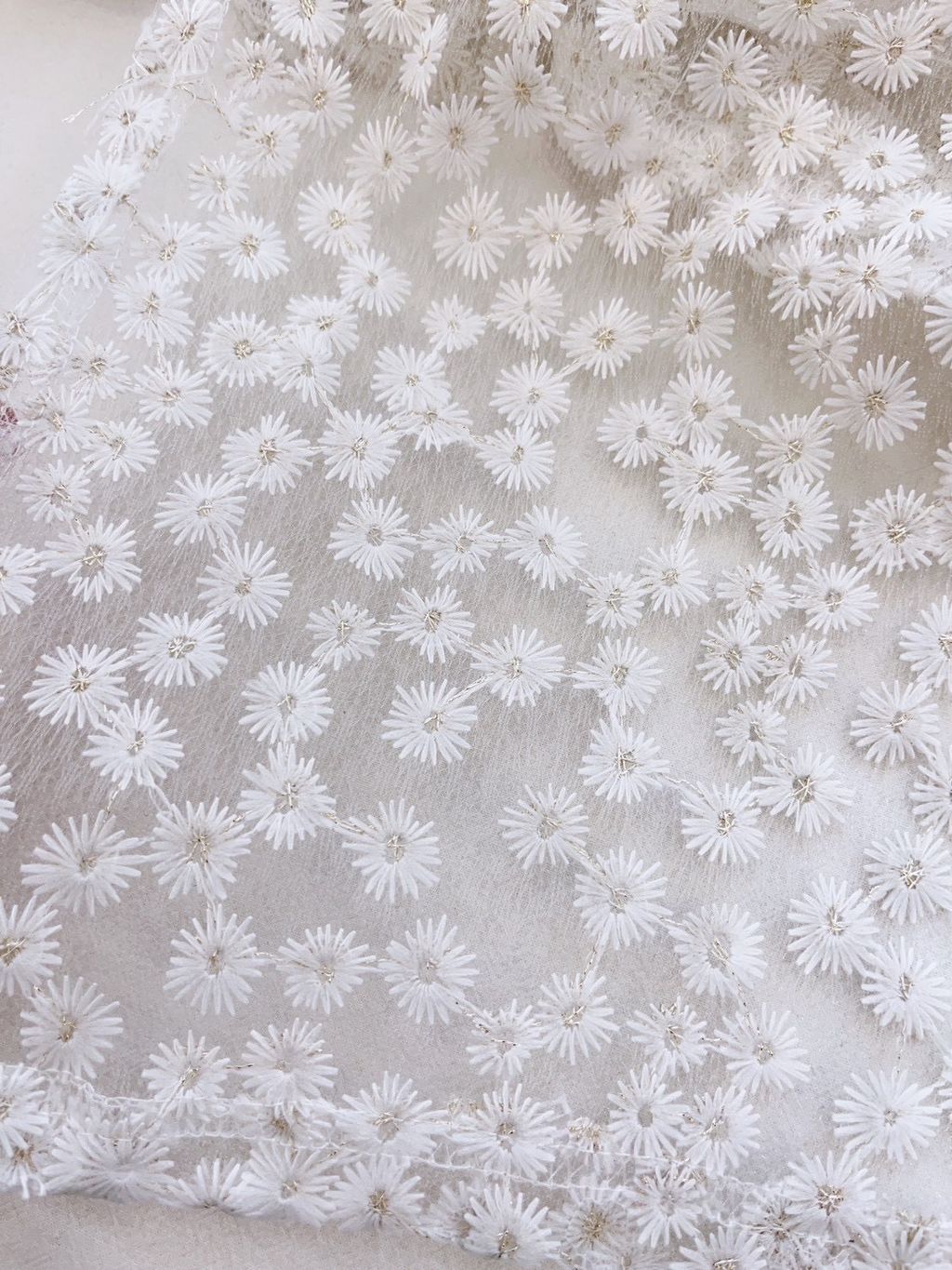 S__63087003_0