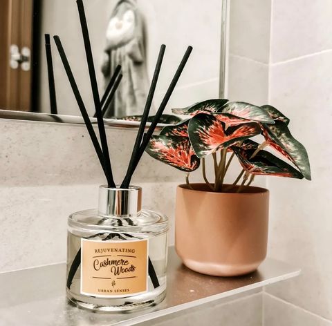 image_384E86AD-27F0-4DAC-A0CD-BCFDE6852B75_1774859525