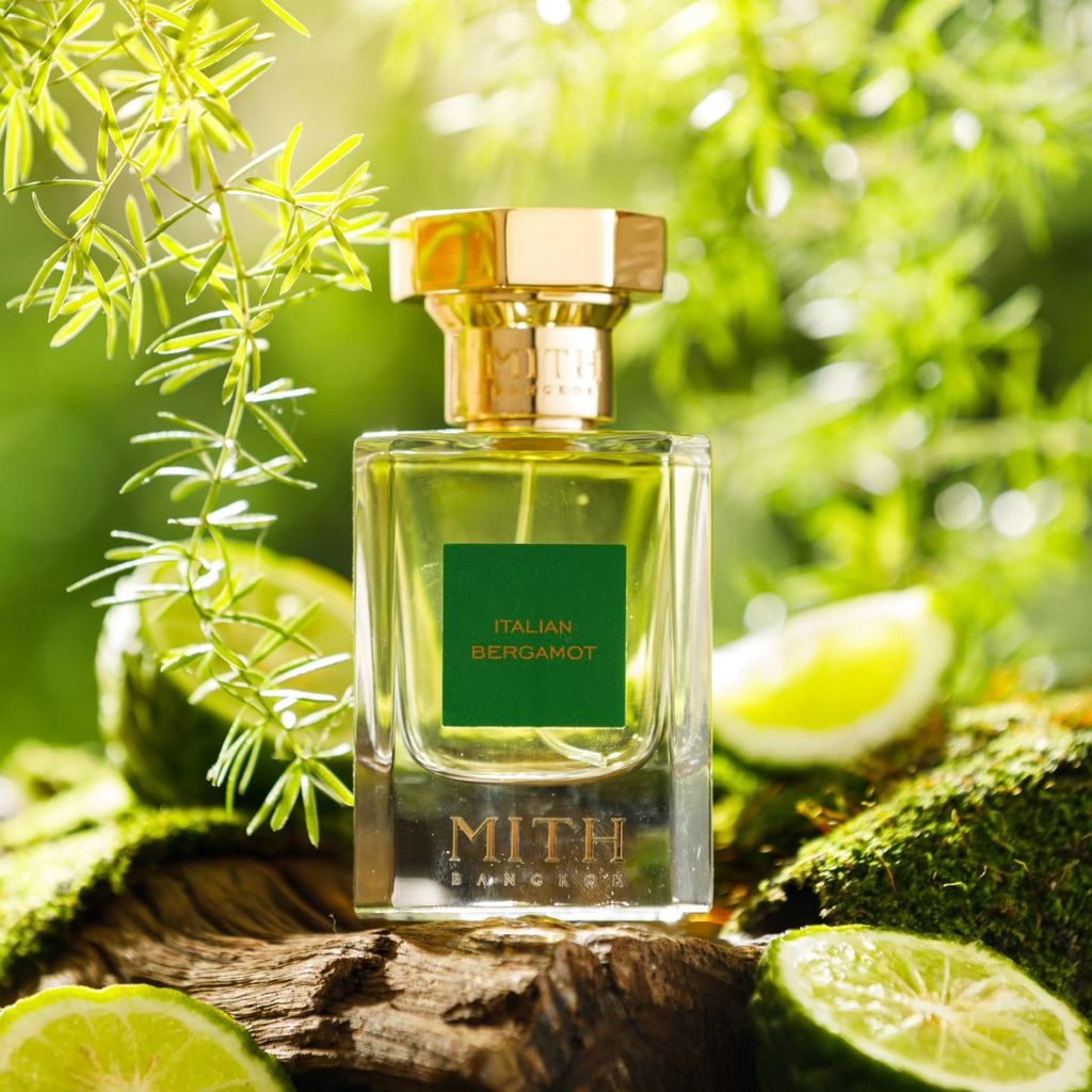 487774193_1174429008062157_4082346318054317126_n