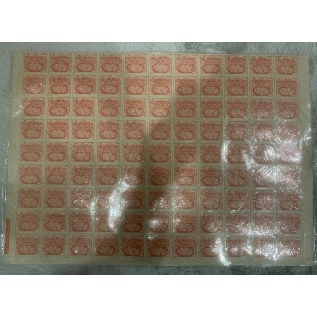 tw-11134207-81ztm-meem3wd5cbutfb