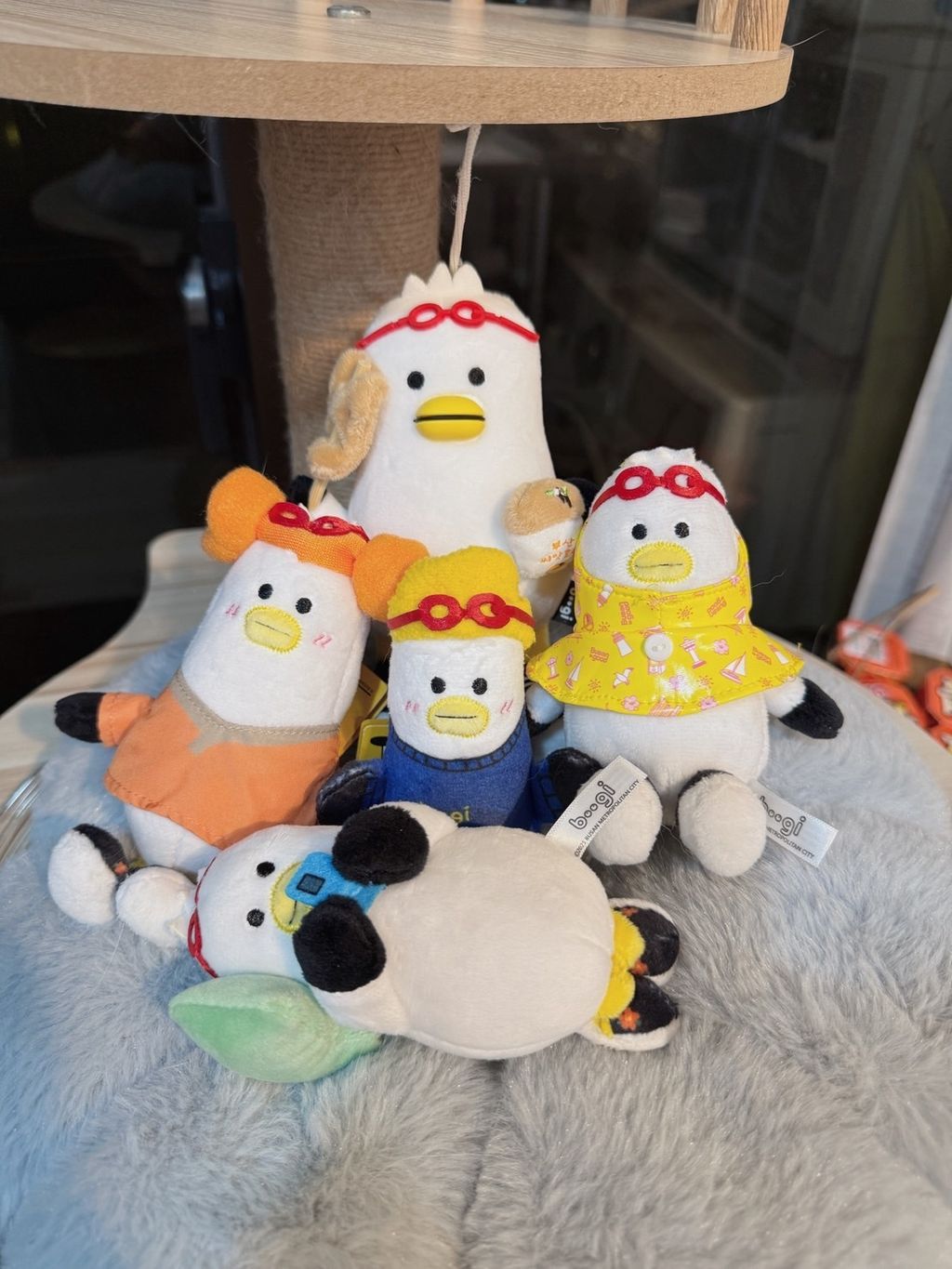 image_B05F1346-8B19-4801-BA9B-3E4395A899FB_1767531086