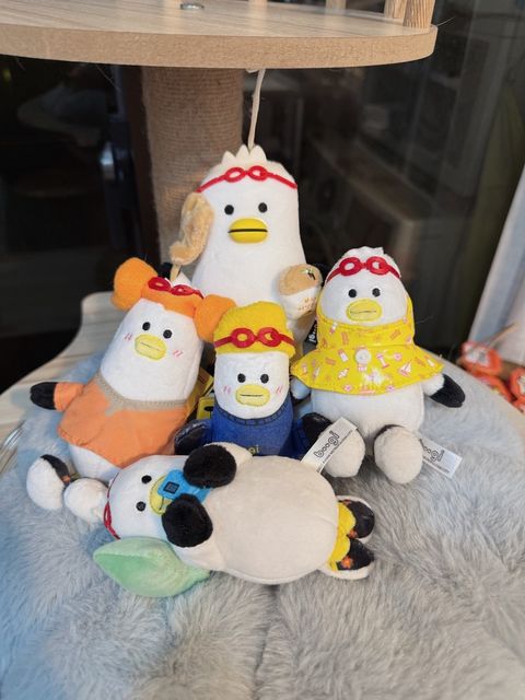 image_B05F1346-8B19-4801-BA9B-3E4395A899FB_1767531086