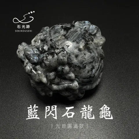 藍閃石龍龜_6