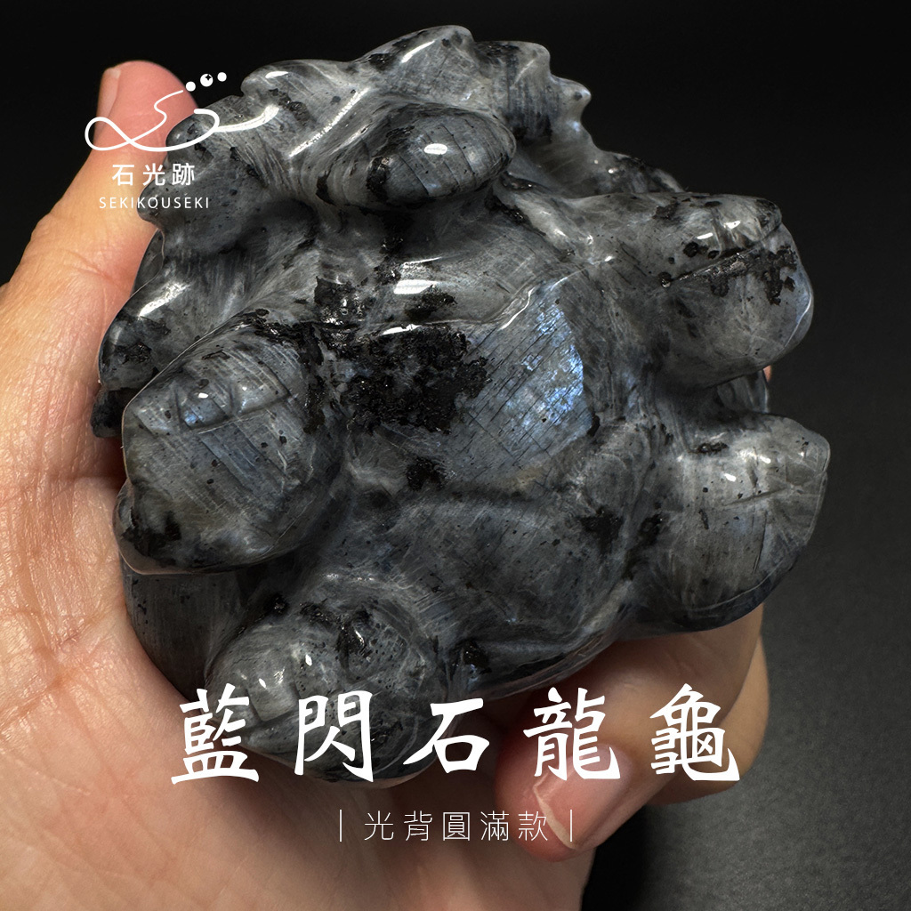 藍閃石龍龜